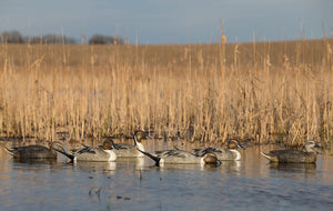 GHG Pro Grade Pintail Decoys
