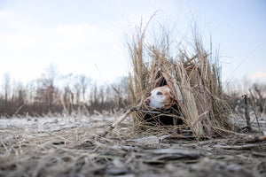 Higdon Outdoors Quick Draw Dog Blind