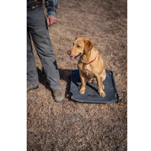 Lucky Duck Kennel Cot