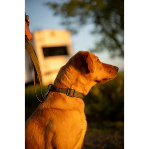 Momarsh Dog Leash