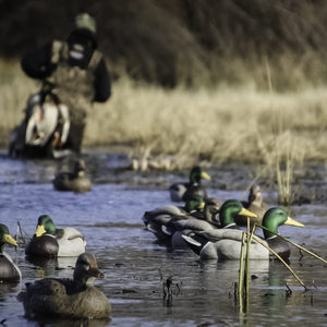 DOA Refuge Mallard Duck Decoys