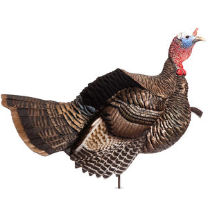 Dave Smith Decoys Posturing Jake Turkey Decoy