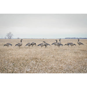 Greenhead Gear Pro Flex Goose Decoys 12 Pack