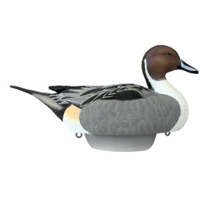 Heyday Lifetime Puddle Duck Pack
