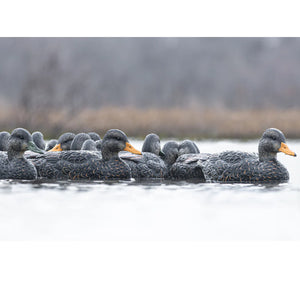 RigEm Right Mainline Black Duck Decoys