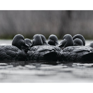 RigEm Right Mainline Blackout Duck Decoys