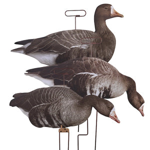Higdon Flats Specklebelly Goose Motion Silhouettes