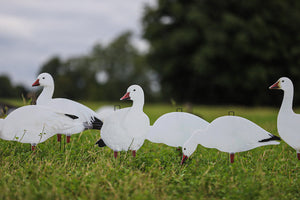 Big Al's Decoys X14 Snow Goose Silhouette Pack