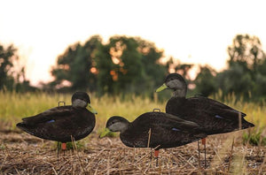 Big Als Black Duck Silhouette Decoys Bulk Pack (60 Decoys)