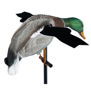 Lucky Duck XHDi