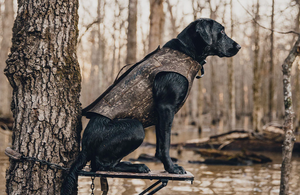 Tanglefree Dog Vest First Lite Cache