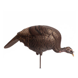 Dave Smith Decoys Feeding Turkey Hen
