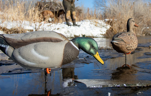 Tanglefree Flight Series Full Body Mallards