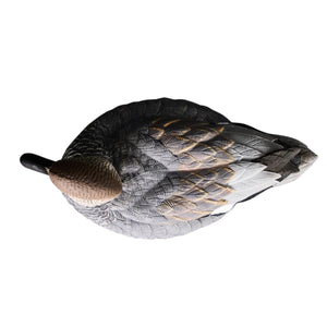 Heyday Lifetime Hydrofoam Gadwalls