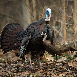 Dave Smith Decoys Leading Turkey Hen