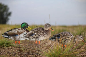 Big Als Mallard Duck Silhouette Decoy Bulk Pack