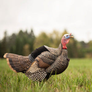 Dave Smith Decoys Posturing Jake Turkey Decoy