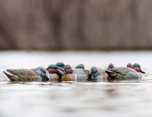 RigEm Right Mainline Greenwing Teal Decoys 12 Pack