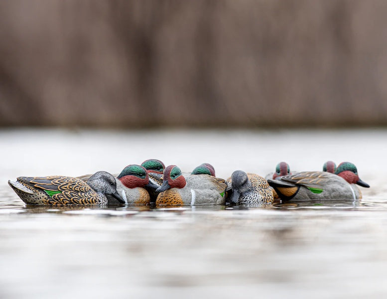 RigEm Right Mainline Greenwing Teal Decoys 12 Pack