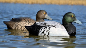 Higdon Battleship Bluebill Decoys Foam Filled