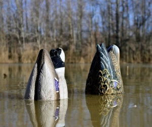 Higdon Magnum Mallard Duck Butt Decoys Foam Filled