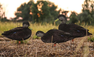 Big Al's Decoys Black Duck Silhouette Decoys