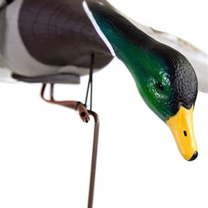 Higdon Outdoors The Clone Mallard Drake