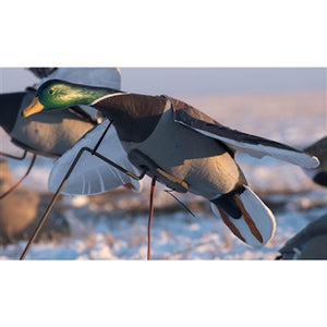 Higdon Outdoors The Clone Mallard Drake