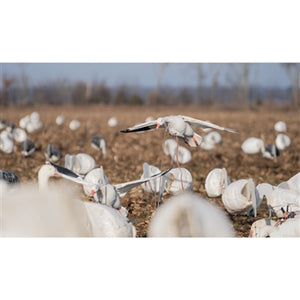 Higdon Outdoors The Clone Snow Goose