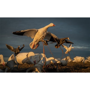 Higdon Outdoors The Clone Snow Goose