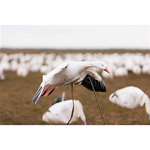 Higdon Outdoors The Clone Snow Goose