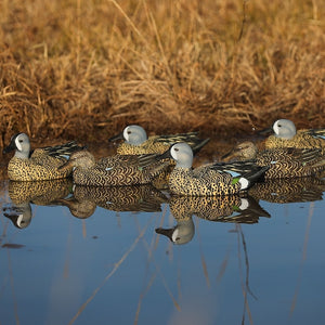 Heyday Lifetime Hydrofoam Blue Wing Teal Decoys