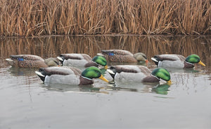 Avian-X Topflight Back Water Mallard Decoys