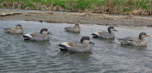 Dakota Xtreme Gadwall Decoys