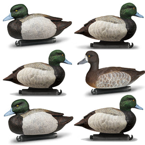 DOA Refuge Bluebill Decoys Foam Filled
