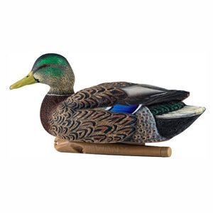 Avian-X Top Flight Early Season Mallard Decoys