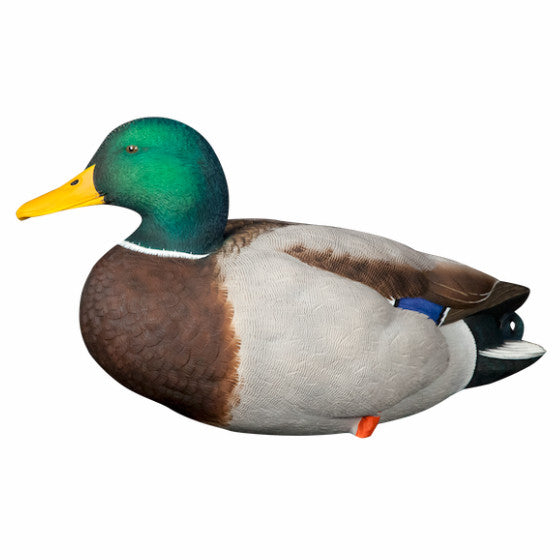 Duck Decoys Canadian Waterfowl Supplies