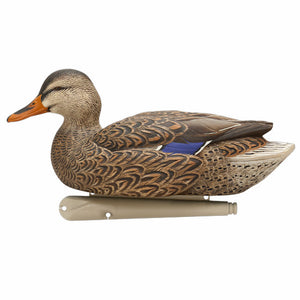 Avian-X Top Flight Early Season Mallard Decoys