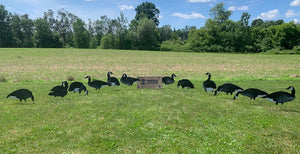 Real Geese Punisher Pack Silhouette Goose Decoys