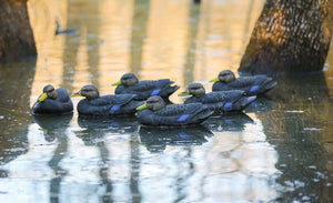 Heyday Lifetime Hydrofoam Black Duck Decoys