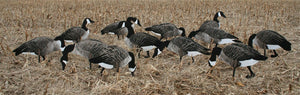 Real-Geese Magnum Lite 3D Canada Goose Decoys