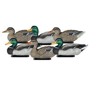 Dakota Xtreme One Piece Mallard Decoys