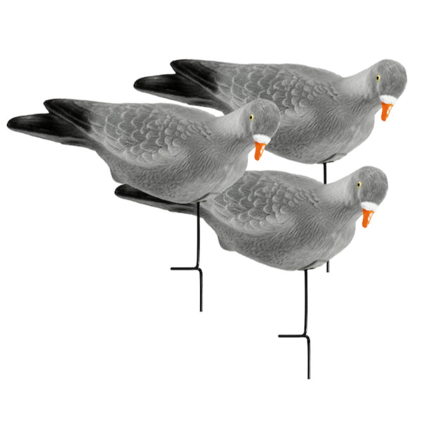Lucky Pigeon 3 Pack