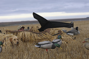 Avery Power Flag Canada Goose