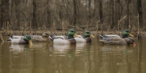 Higdon Magnum Mallard Decoys Foam Filled