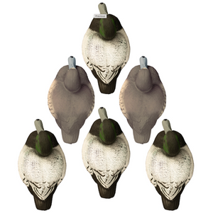 Higdon Standard Bluebill Decoys Foam Filled - 6 pk