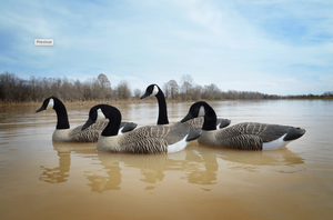 Higdon Full Size Canada Goose Floater Decoys