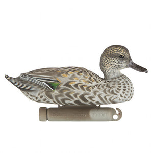 Dakota Decoy X-Treme Greenwing Teal Decoys