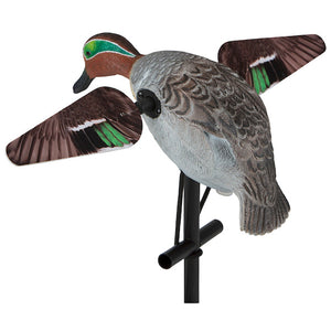Lucky Teal HD
