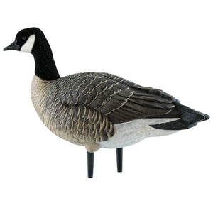Avian-X AXP Outfitter Lesser Canada Goose Pack